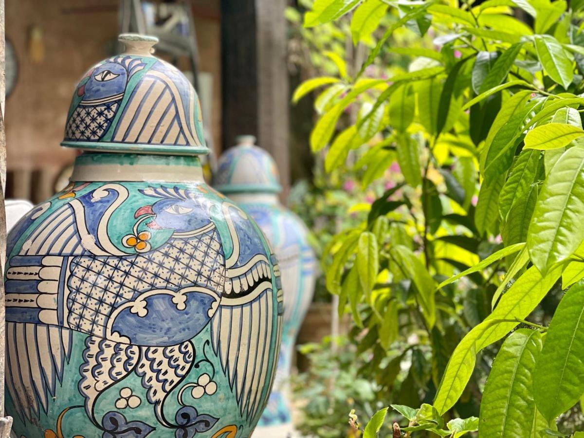 Abeille Bed & Breakfast Vence Bagian luar foto