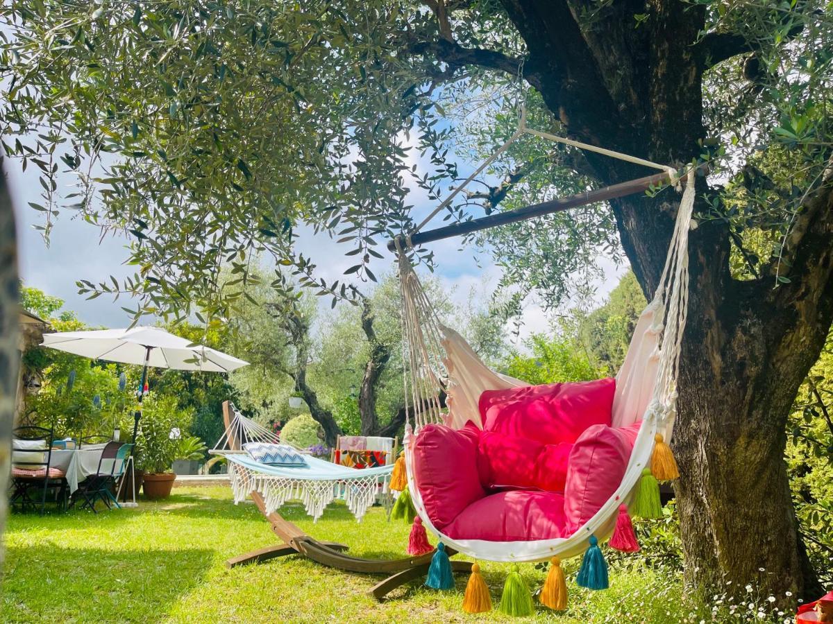 Abeille Bed & Breakfast Vence Bagian luar foto