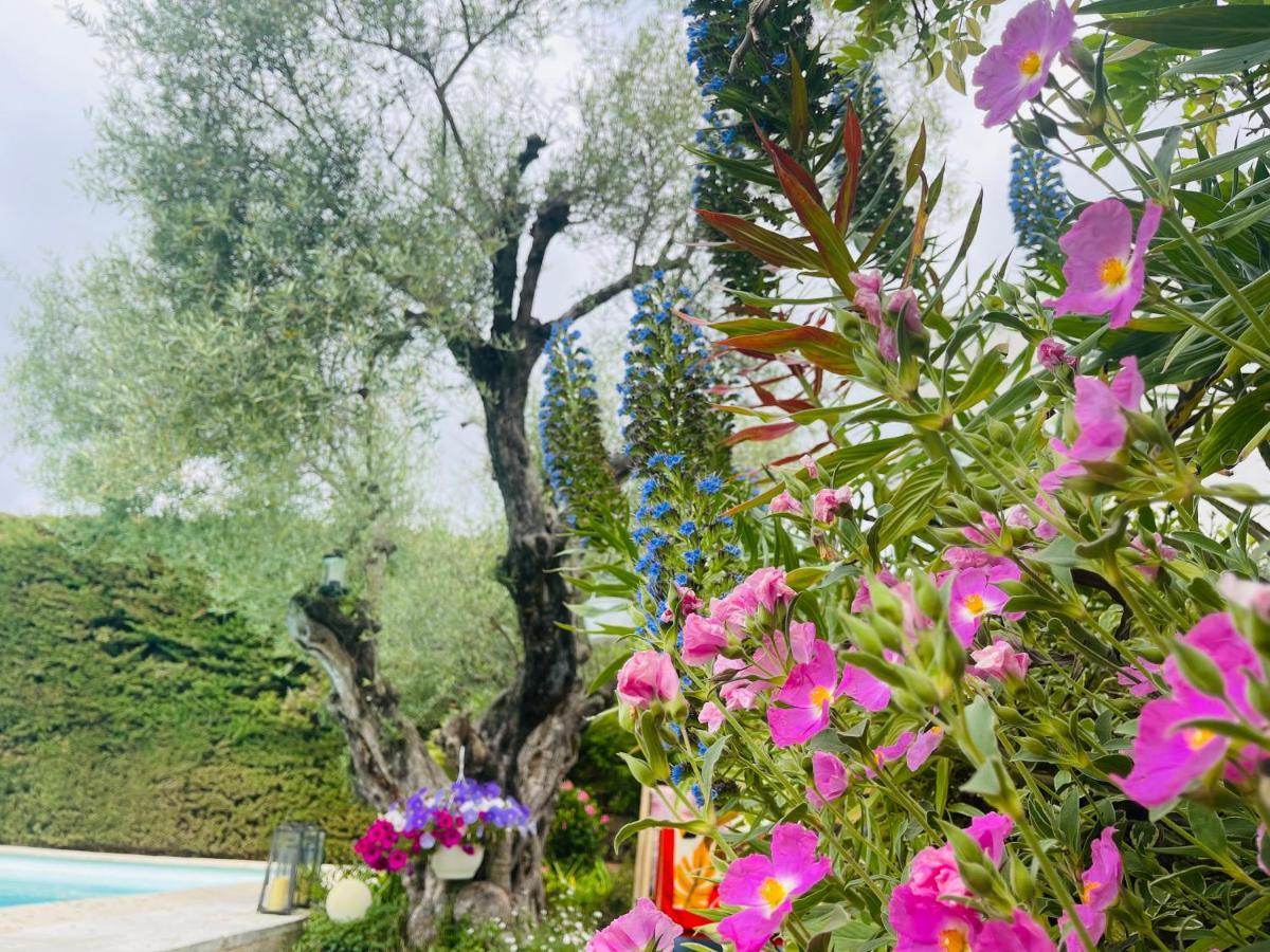 Abeille Bed & Breakfast Vence Bagian luar foto