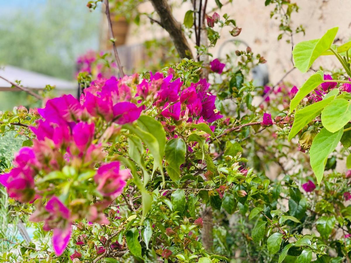 Abeille Bed & Breakfast Vence Bagian luar foto